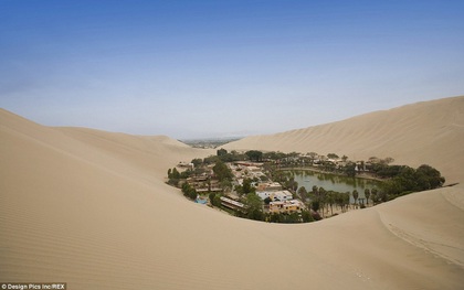 Không ai ngờ rằng, giữa sa mạc cằn cỗi bậc nhất thế giới lại có một thị trấn xanh tươi đến vậy