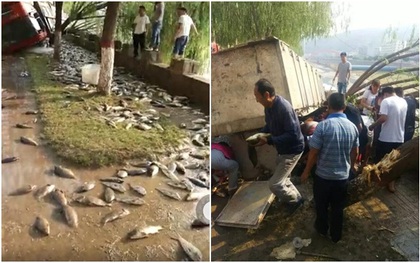 Trung Quốc: Lật xe chở cá tươi, người dân nô nức đến "hôi của" mặc cho cảnh sát hết lời khuyên can