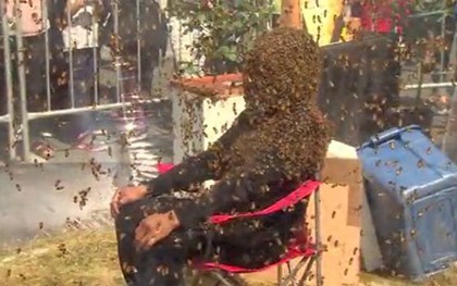 Người đàn ông để cho 100 nghìn con ong bâu kín mặt mà vẫn không sao