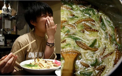 Nếu bạn nghĩ mình chẳng sợ ăn gì, hãy thử món mì Ramen côn trùng Nhật Bản này đi
