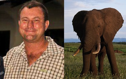 Đi săn động vật, giám đốc vườn quốc gia xấu số bị voi đè chết