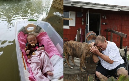 25 khoảnh khắc trong cơn bão Harvey khiến người xem không khỏi bật khóc
