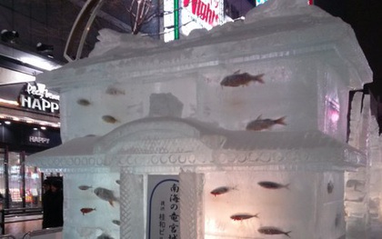 Lễ hội tuyết Sapporo lại lần nữa gây phẫn nộ khi sử dụng cá chết trang trí băng đăng