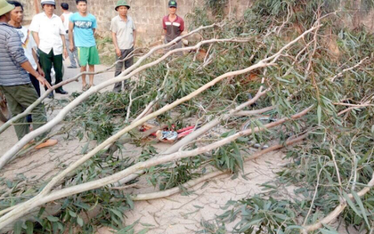 CA đưa người chặt cây bạch đàn đè trúng 3 nữ sinh khỏi địa phương, tránh người nhà bức xúc