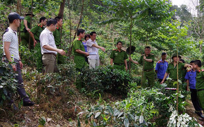 Nghi phạm giết cô ruột, buộc vào gốc cây dọa "sẽ đánh chết ai lại gần" lúc bị vây bắt