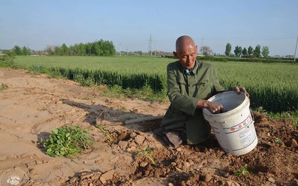 Mất cả hai chân, ông lão vẫn chăm sóc gia đình suốt 40 năm