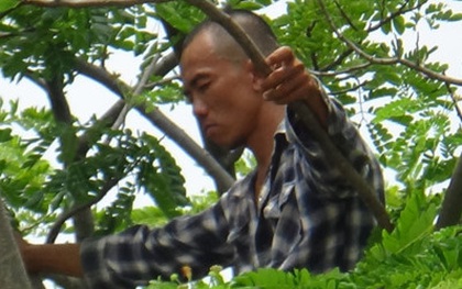 Hàng chục cảnh sát cứu hộ kẻ nghi ngáo đá ngồi trên ngọn cây cao 15m