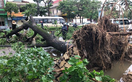 Chùm ảnh: Đường phố TP Vinh - Nghệ An tan hoang sau bão số 2