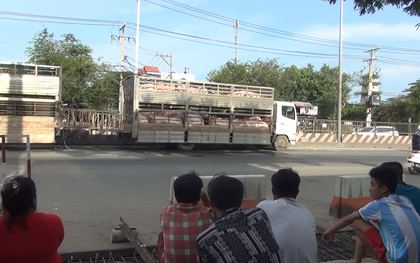 TP. HCM: Nam thanh niên nguy kịch sau khi bị xe tải tông văng hàng chục mét