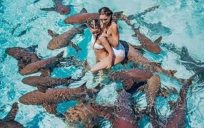 Người mẫu vẫn bình an vô sự dù chụp ảnh với cả đàn cá mập vây quanh chỉ vì 1 lí do