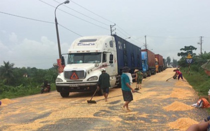 Quảng Ninh: Người dân tranh nhau "hôi" ngô rơi của tài xế container