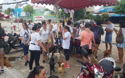 Người nước ngoài ở Sài Gòn kêu cứu trước tình trạng hàng loạt chú chó nghi bị đầu độc