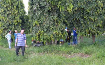 Kinh hãi phát hiện người phụ nữ nằm chết bên vệ đường