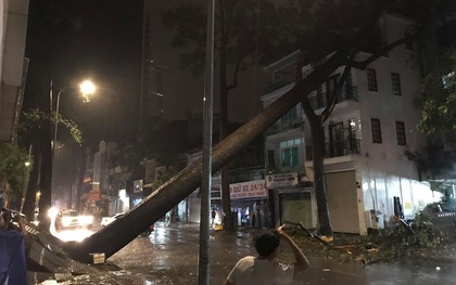 Mưa to kèm sấm sét kinh hoàng, cây cổ thụ bật gốc đổ sập vào nhà dân ở Sài Gòn khiến nhiều người sợ hãi