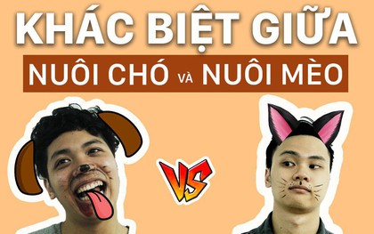 Sự khác biệt hoàn toàn giữa #team nuôi chó và #team nuôi mèo!