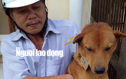 Bắt 3 "cẩu tặc", hơn 10 người xúc động, bật khóc khi nhận lại chó