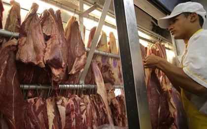 "Phát hoảng" với gà siêu rẻ Brazil: 7.000 đồng/kg