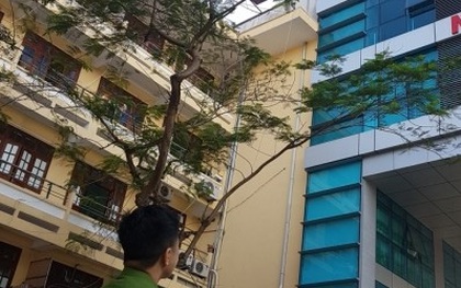 Thái Bình: Bệnh nhân rơi từ tầng 8 bệnh viện đa khoa tỉnh tử vong