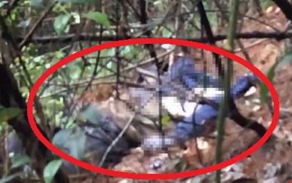 Đang livestream cảnh hái nấm trong rừng, MC bất ngờ phát hiện thi thể đang phân hủy