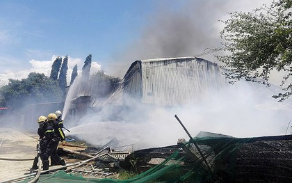 Lửa thiêu rụi nhà máy chế biến bã mía rộng gần 1.000 m2