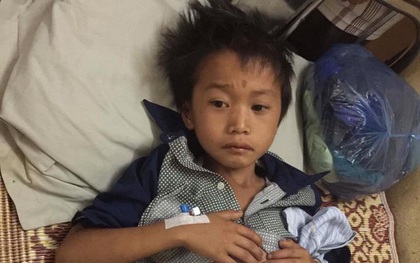 Cậu bé 10 tuổi bị trâu húc vỡ ruột non ở Yên Bái