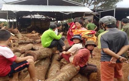 Ngã vào máy cưa, nam thanh niên bị cắt đứt người