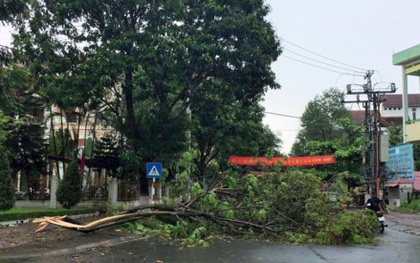 Lào Cai: Giông lốc tốc mái hơn 700 nhà dân, thiệt hại trên 7 tỷ đồng