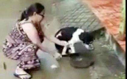 Người phụ nữ cầm dao chặt chân chó: "Tôi làm vậy để bảo vệ và không muốn ai đánh bả, giết thịt nó"