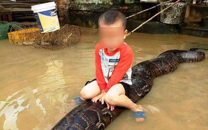 Thông tin bất ngờ về hình ảnh cậu bé 3 tuổi cưỡi trăn khổng lồ đùa nghịch trong nước lũ