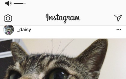 Chỉ cần một thay đổi nhỏ của Instagram cũng đủ dạy cho Apple một bài học
