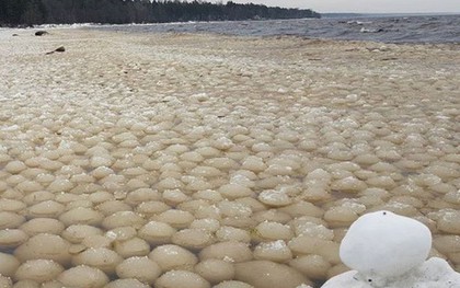 Bí ẩn hàng ngàn quả bóng tuyết dạt vào bờ biển khiến người dân lo sợ