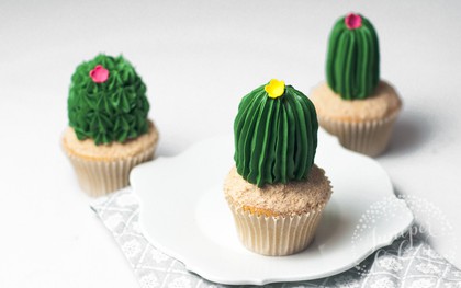 Tự tay vào bếp "trồng" cả vườn cupcake xương rồng cho ngày nắng đẹp