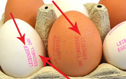 Không chỉ người mà cả… trứng gà cũng có chứng minh thư, choáng chưa?