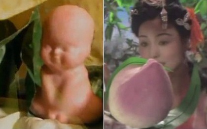 Sự thật về quả đào tiên và quả nhân sâm nghìn năm ra hoa, nghìn năm kết trái trong phim Tây Du Ký 1986
