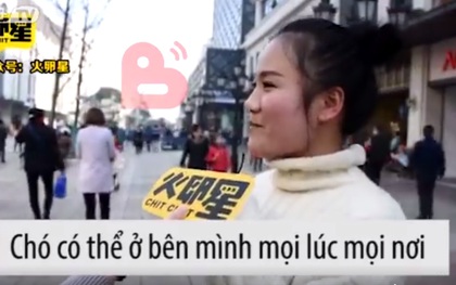 Bạn chọn đi, em cún nuôi 10 năm hay người yêu 1 năm?