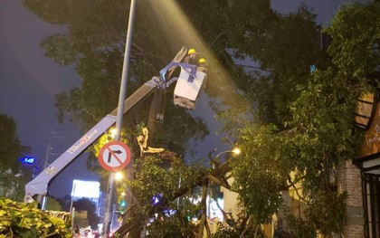 Nhánh cây gãy đè sập tường nhà dân tại TP.HCM