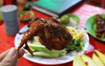 Ty tỷ phiên bản hấp dẫn của chim cút ở Sài Gòn, bạn đã thử chưa?