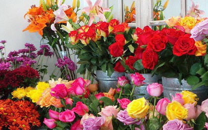 Cận 20/10, hoa tươi tăng chóng mặt giá gấp 2-3 lần ngày thường nhưng vẫn cháy hàng