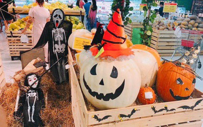 Phát cuồng với bí ngô Halloween khổng lồ lần đầu được trồng ngay tại Việt Nam