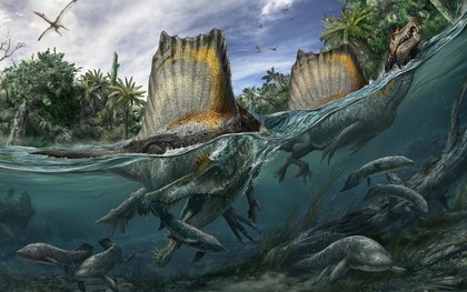 Spinosaurus - loài khủng long kỳ cục nhất thời cổ đại: săn cá như thần mà không thể bơi lội