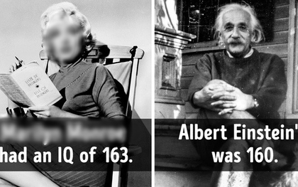 10 sự thật khó tin cho ngày đầu tuần thêm vui vẻ:  Chỉ số IQ của Einstein lại thấp hơn một nữ diễn viên