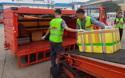Sa thải 2 nhân viên bốc xếp ném hành lý của khách như ném gạch ở sân bay Tân Sơn Nhất