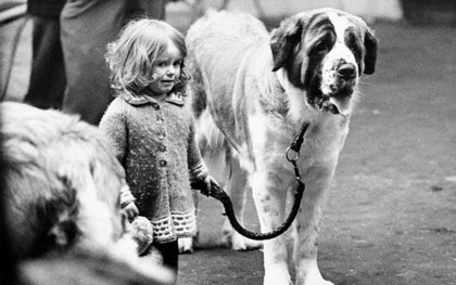 Những bức ảnh đen trắng hiếm có về Dog Show ở Anh giữa thế kỷ 20