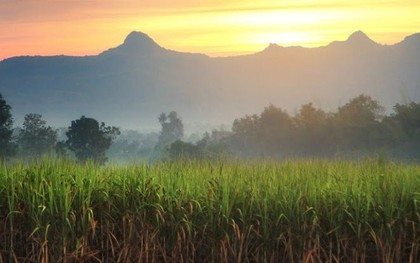 Nếu ở đâu cũng làm như quốc đảo này, tương lai Trái đất sẽ biết ơn nhiều lắm