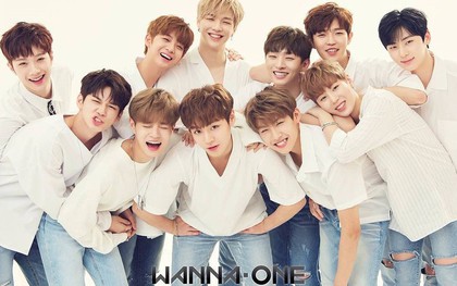 4 fan cuồng Wanna One gây phẫn nộ vì khiến hàng trăm hành khách phải xuống máy bay dù đã đến giờ cất cánh