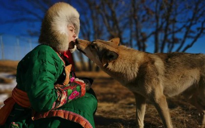 Cô gái Mông Cổ với dàn pet độc 8 con sói, 3 bạn trai đều đòi chia tay vì sợ cãi nàng sẽ bị ăn thịt