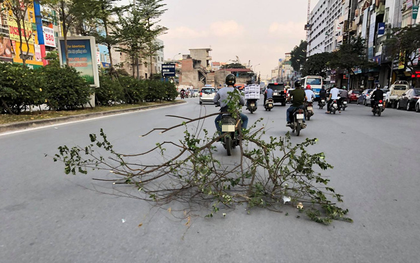 Clip: Thanh niên buộc nguyên cành cây lớn vào xe máy quét dọc đường Trường Chinh