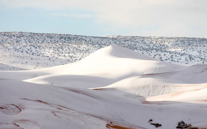 Tuyết phủ trắng nhiều vùng sa mạc Sahara lần thứ 3 trong 40 năm, có nơi dày 40cm khiến người dân kinh ngạc
