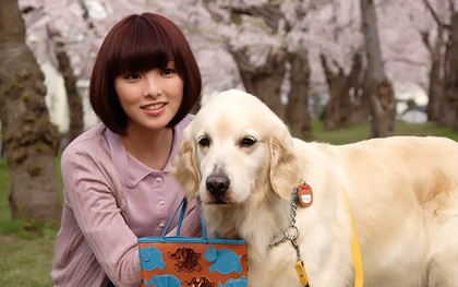 Năm Mậu Tuất và 5 câu chuyện cảm động về loài chó của điện ảnh Nhật Bản