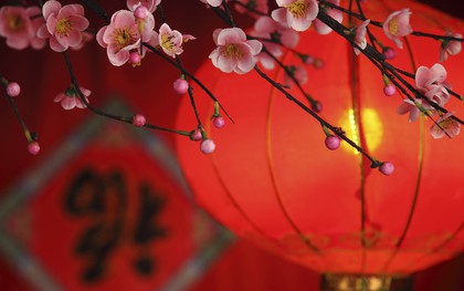 Góc nhìn: Nên gọi Tết trong tiếng Anh là gì - Chinese New Year, hay Lunar New Year.?